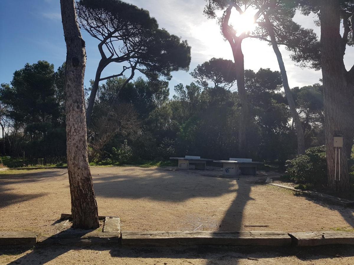 Le Studio De Giens Hyères Buitenkant foto