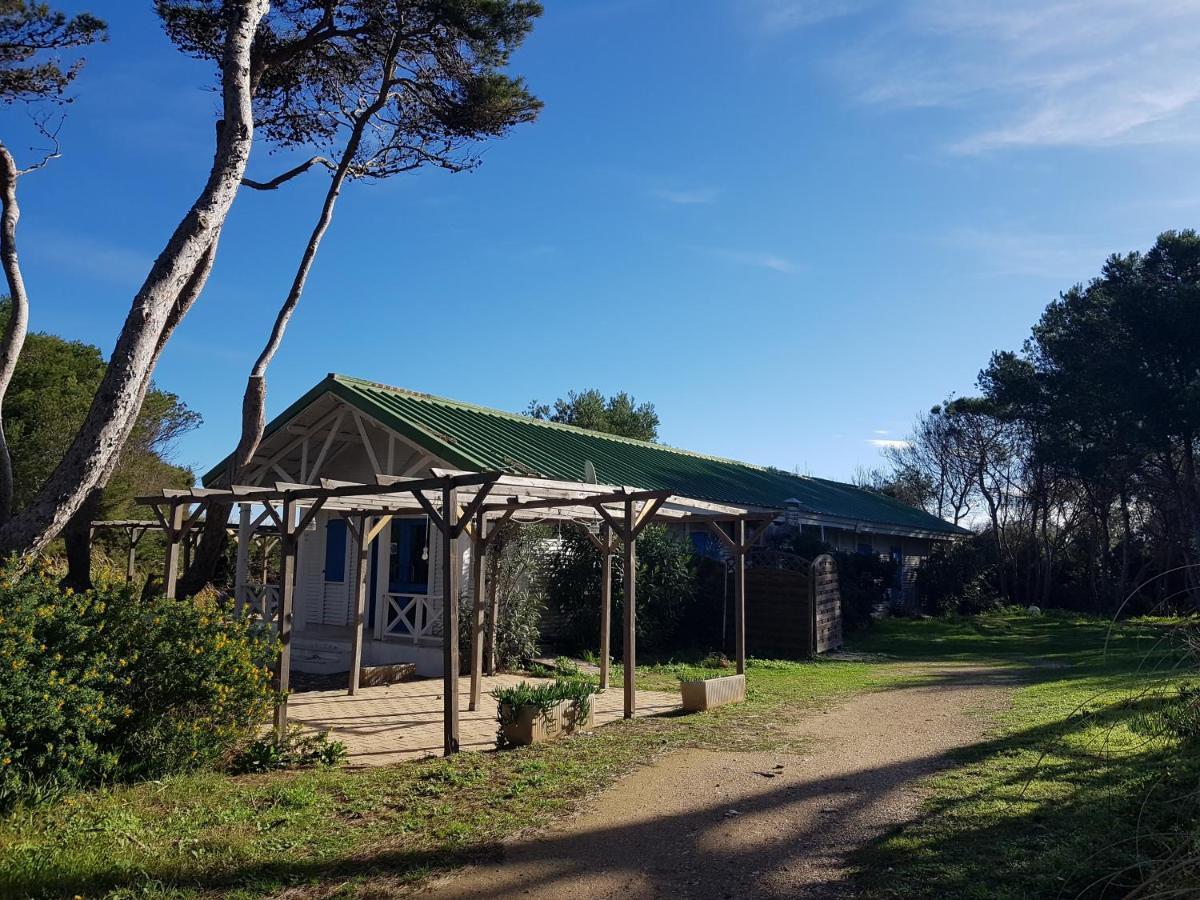 Le Studio De Giens Hyères Buitenkant foto
